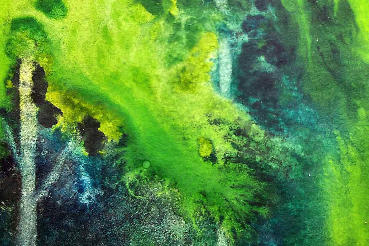 El agua que sueña