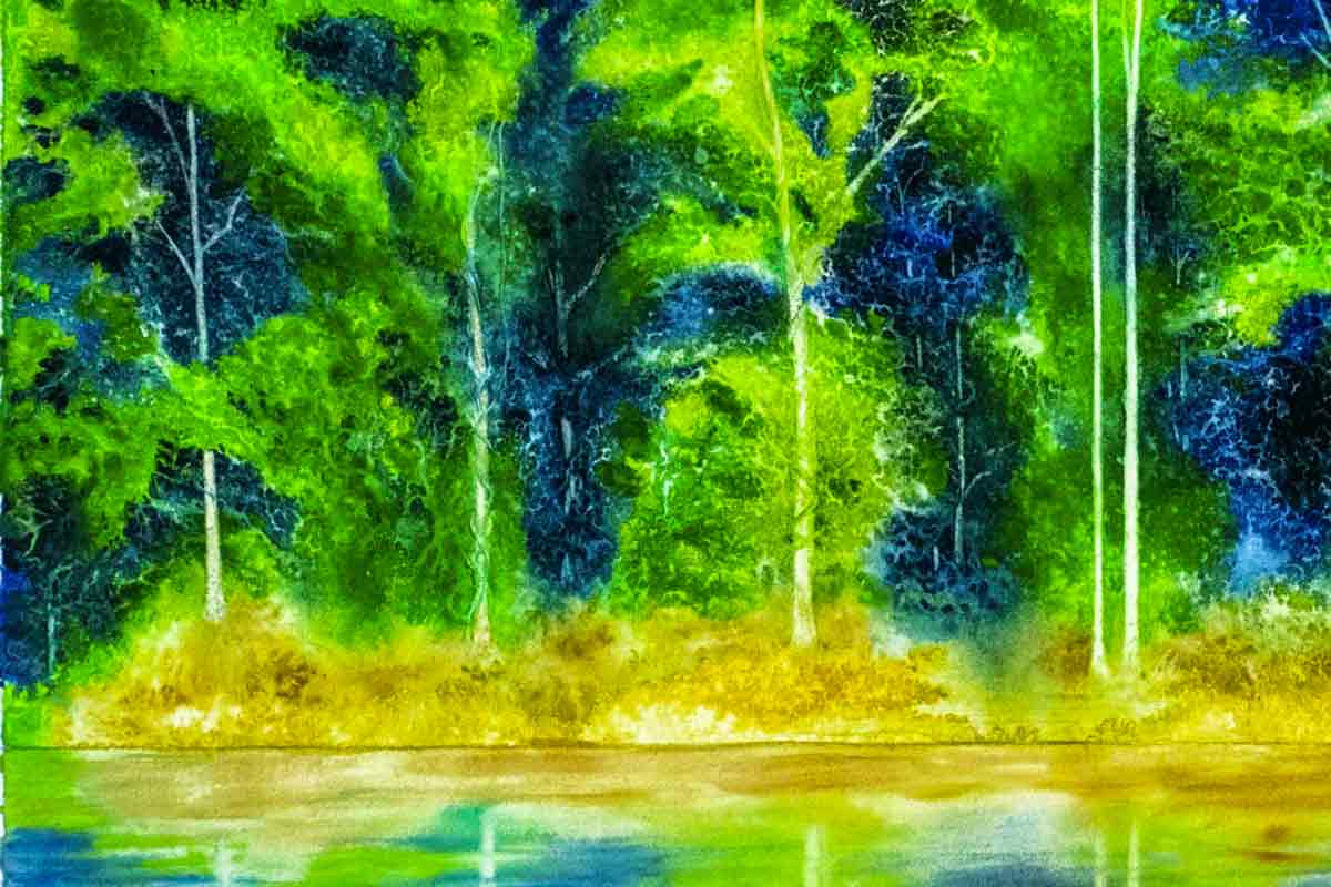 Naturaleza viva
